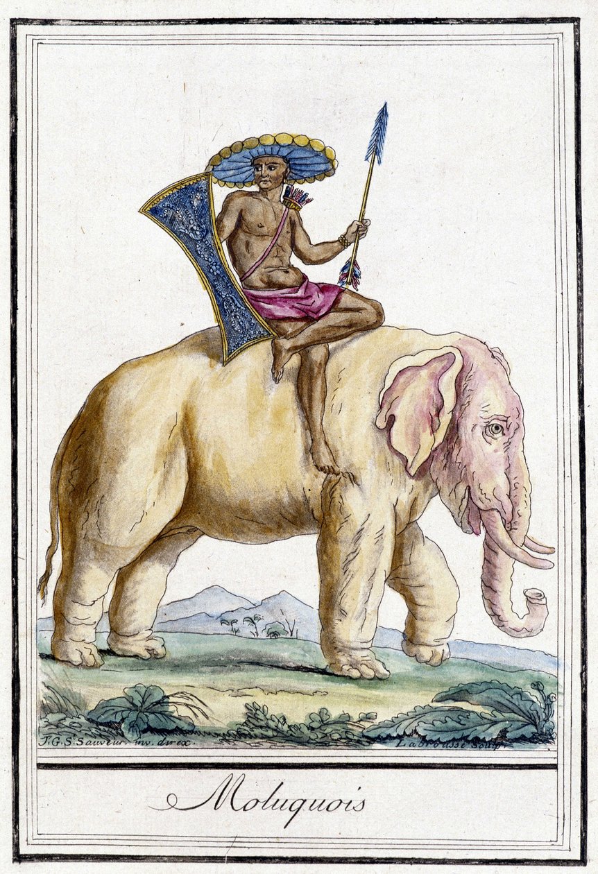 Molucquois człowiek na słoniu (Wyspy Moluki, Indonezja). autorstwa Unknown artist
