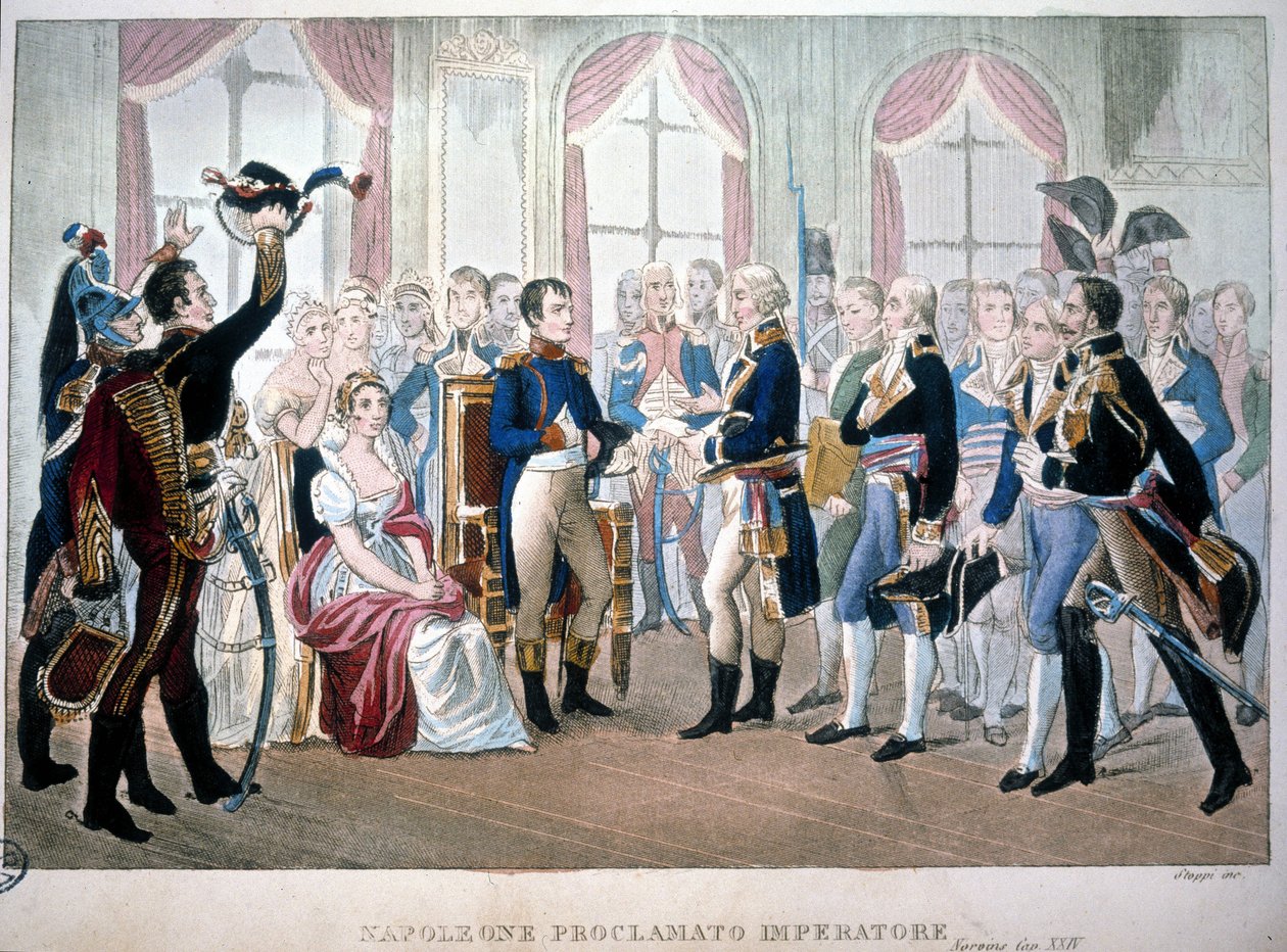 Napoleon został ogłoszony cesarzem w 1804 roku. autorstwa Unknown artist