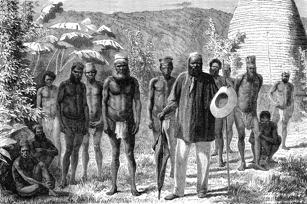 Pochodzi z Nowej Kaledonii. Grawerowanie z 1885 roku autorstwa Unknown artist