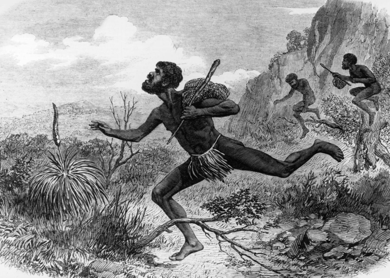 Tubylcy (Aborygeni) z Australii podczas polowania na pszczoły 1863, rycina autorstwa Unknown artist
