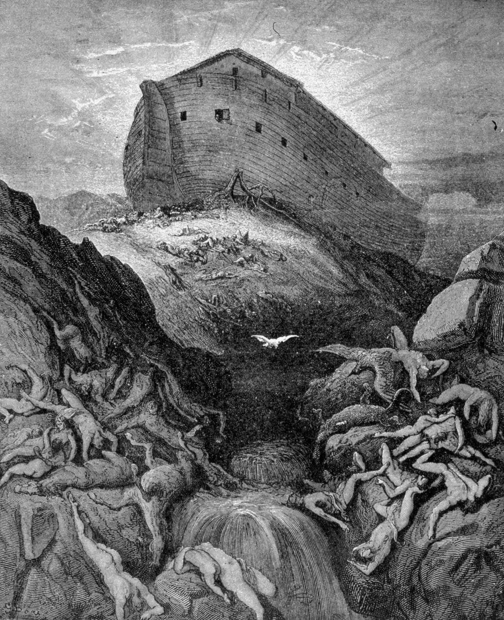 Według Genesis, Noe wysyła gołębia na Ziemię. Grawerowanie z XIX wieku. autorstwa Unknown artist