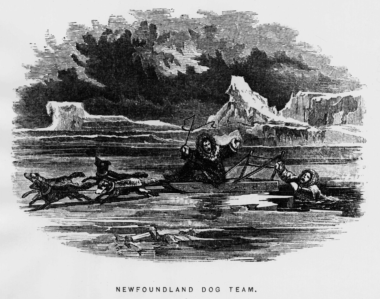 Biegun północny: pies zaprzęgowy unoszący człowieka spada przez lód - Elisha Kent Kane, Arctic Explorations w latach 1853-1855, Filadelfia, Childs i Peterson autorstwa Unknown artist