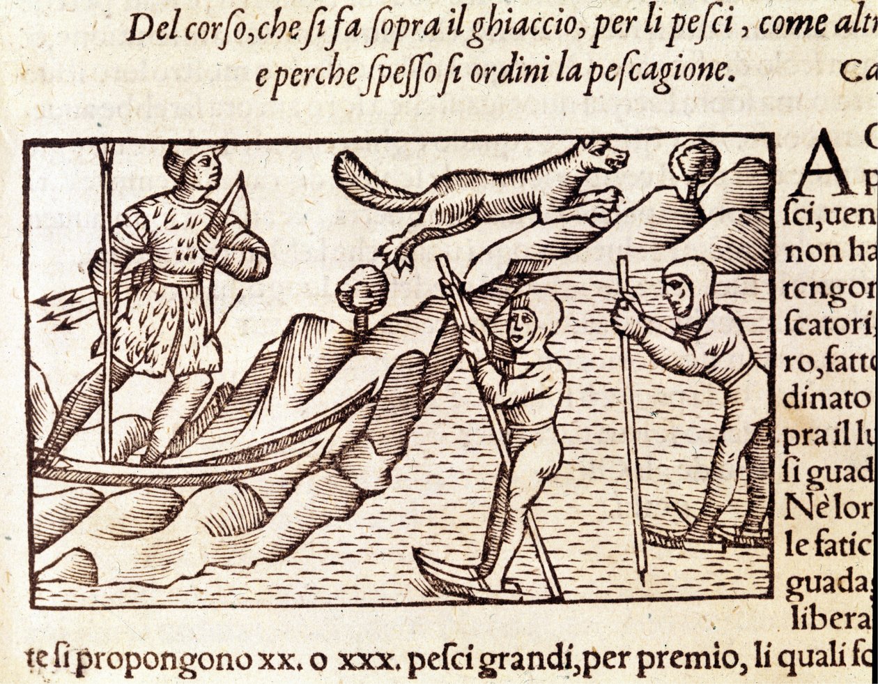 Norwescy myśliwi poruszający się po nartach. rycina Olausa Magnusa (1490 - 1557), szwedzkiego zakonnika i geografa, „Historia de Gentis Septentrionalibus”, Wenecja autorstwa Unknown artist