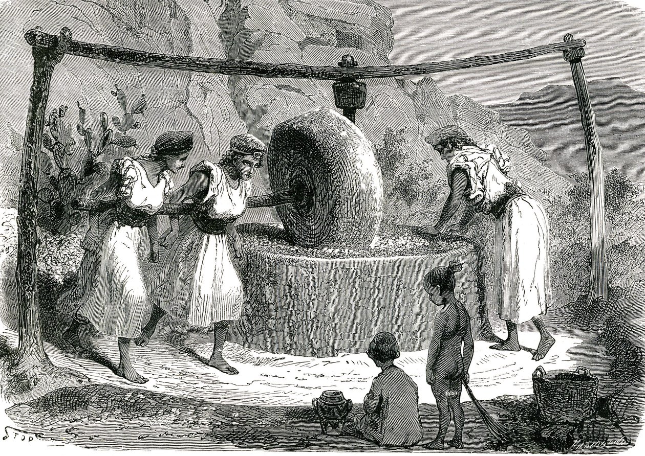 Młyn do mielenia oliwek w Algierii 1885 autorstwa Unknown artist