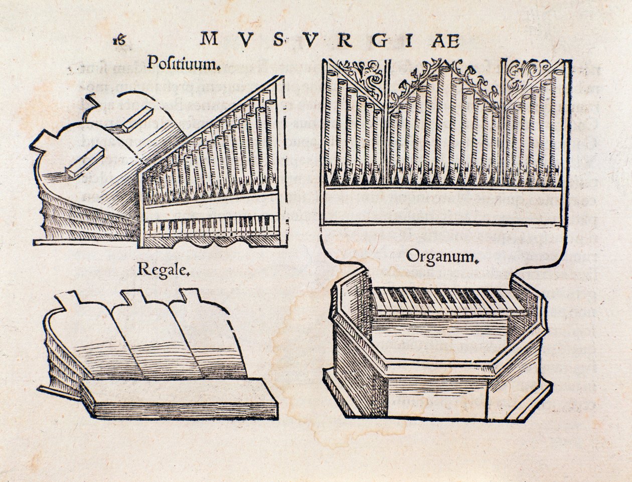 Reprezentacja organów. Strona zaczerpnięta z praktycznego podręcznika muzycznego Musurgii autorstwa Unknown artist