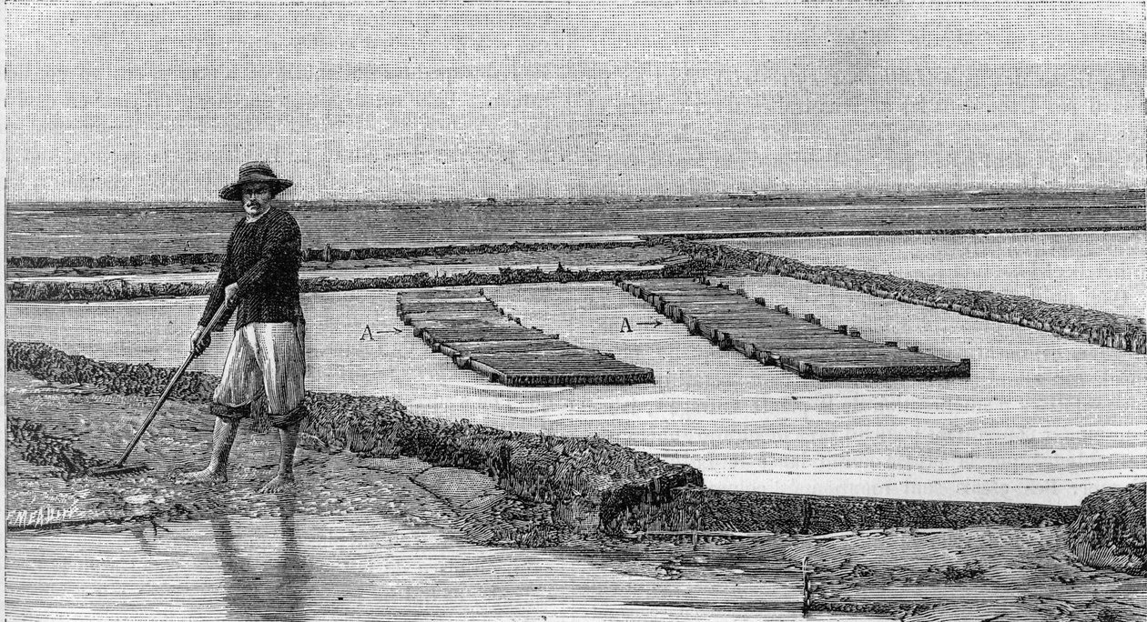 Hodowla ostryg - hodowla ostryg w dorzeczu Arcachon (1894): widok ogólny na park ostryg. A, A: karetki pogotowia lub skrzynie ostrygofilowe. (Z fotografii). Grawerowanie w „” La Nature: revue des sciences et de leurs applications aux arts et a l