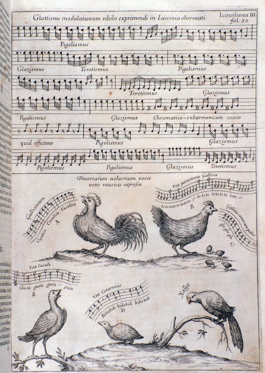 Strona z Musurgii (1650) autorstwa Unknown artist