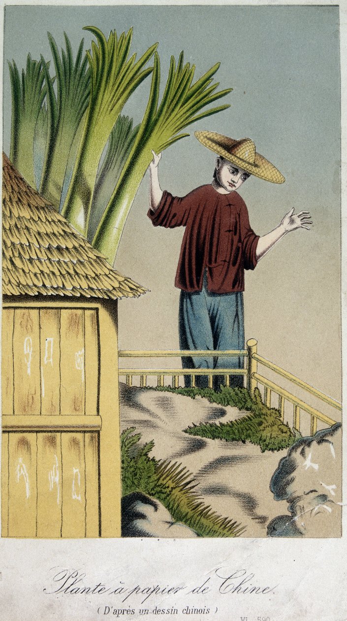 Papiernia, Chiny - grawerowanie autorstwa Unknown artist