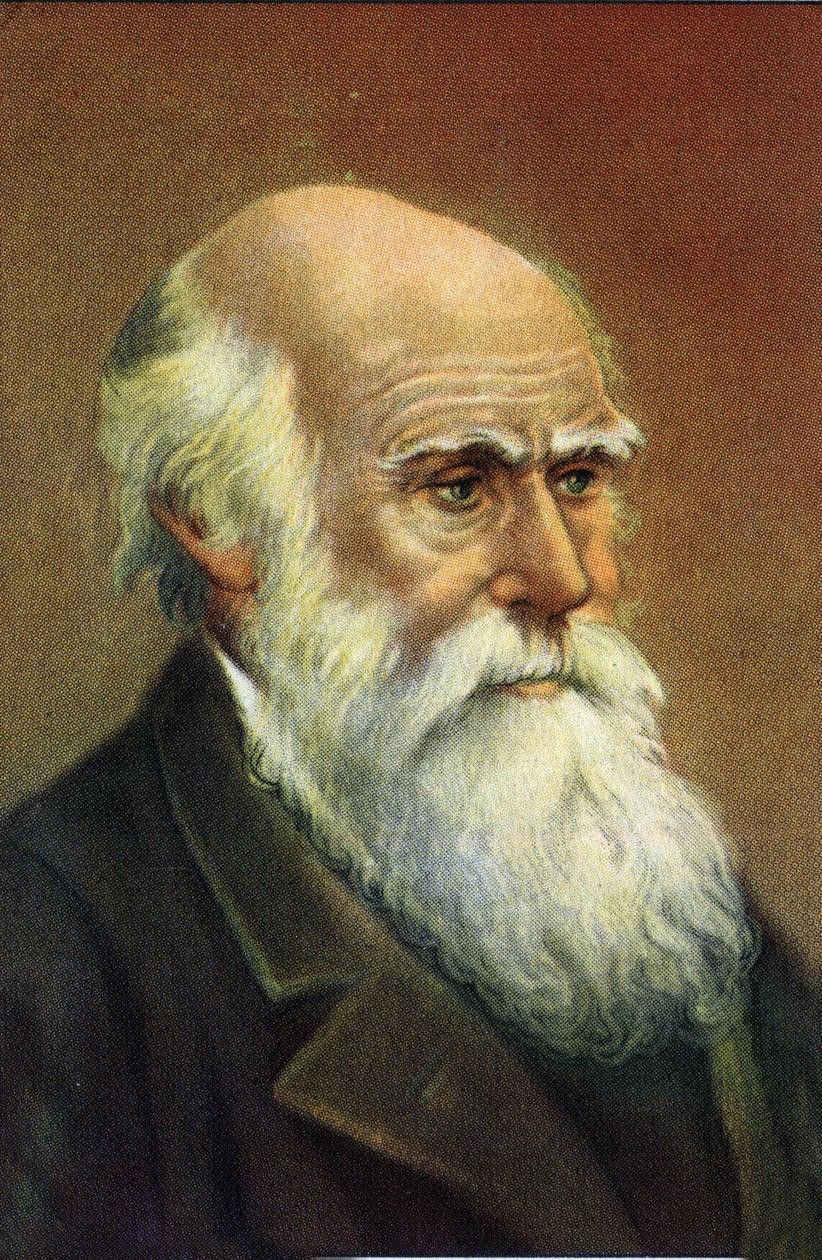 Fotograficzny portret Karola Darwina (1809 - 1882), angielskiego przyrodnika. autorstwa Unknown Artist