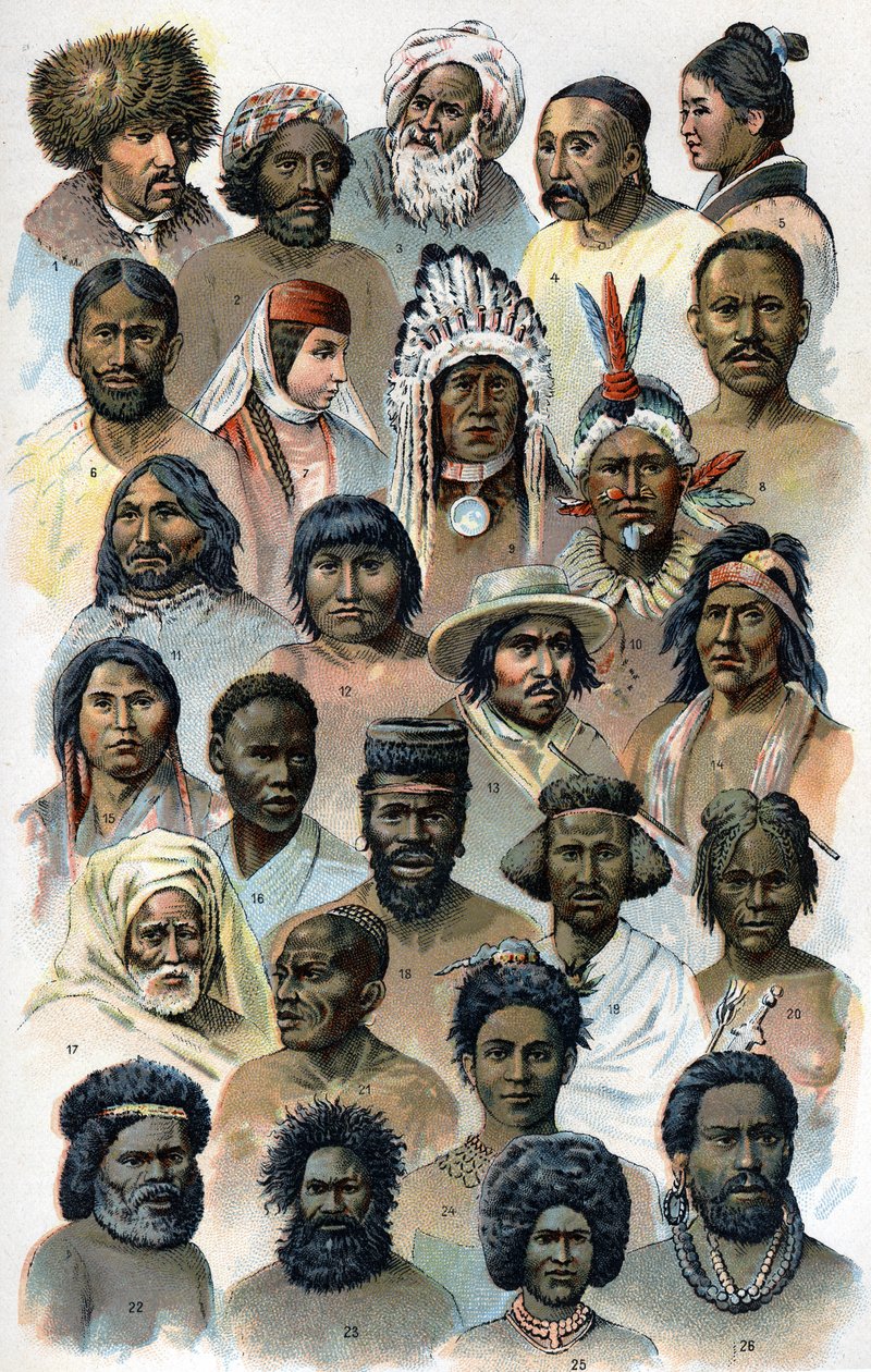 Fizjonomia i kształt głowy obcych ras ludzkich.” „Nowy naturalny lek”” autorstwa F.E. Bilz.1898. autorstwa Unknown artist