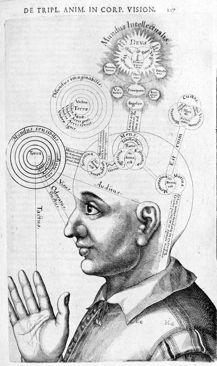 Obraz fizjonomii (frenologia) z Dzieł zebranych Roberta Fludda (Robertus de Fludd). Londyn 1617 autorstwa Unknown artist