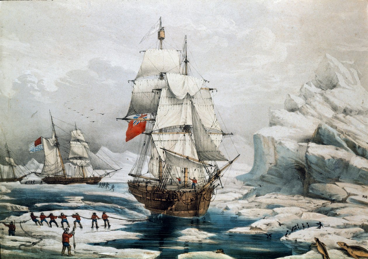 Ekspedycja polarna w Arktyce: angielskie i amerykańskie statki uwięzione w lodzie (druk z XIX wieku) autorstwa Unknown artist