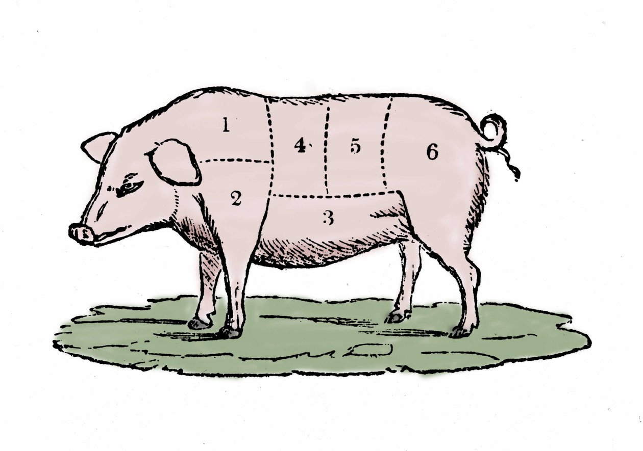 Kawałki wieprzowiny. autorstwa Unknown artist