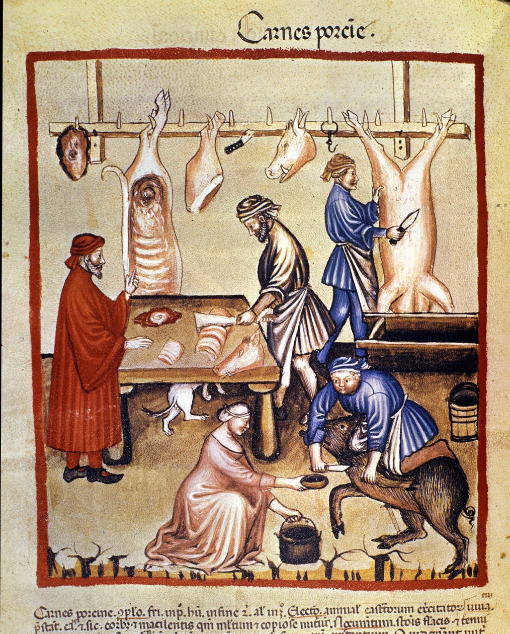 Produkcja wieprzowiny. Świnia zostaje ubita, a rzeźnicy kroją na kawałki. Oświetlenie z doju medycyny i dietetyki „”Tacuinum sanitatis”” autorstwa Unknown artist