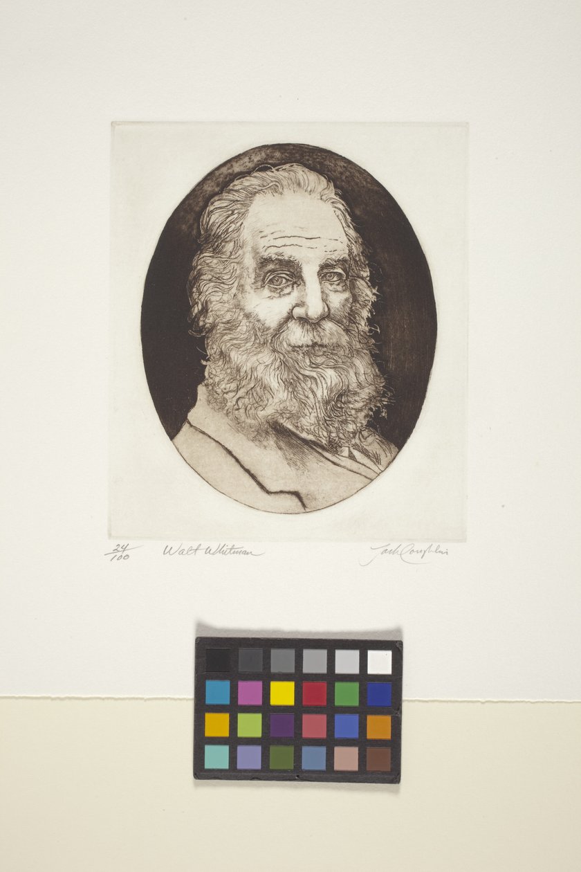 Portret Walta Whitmana (atrament, druk) autorstwa Unknown artist