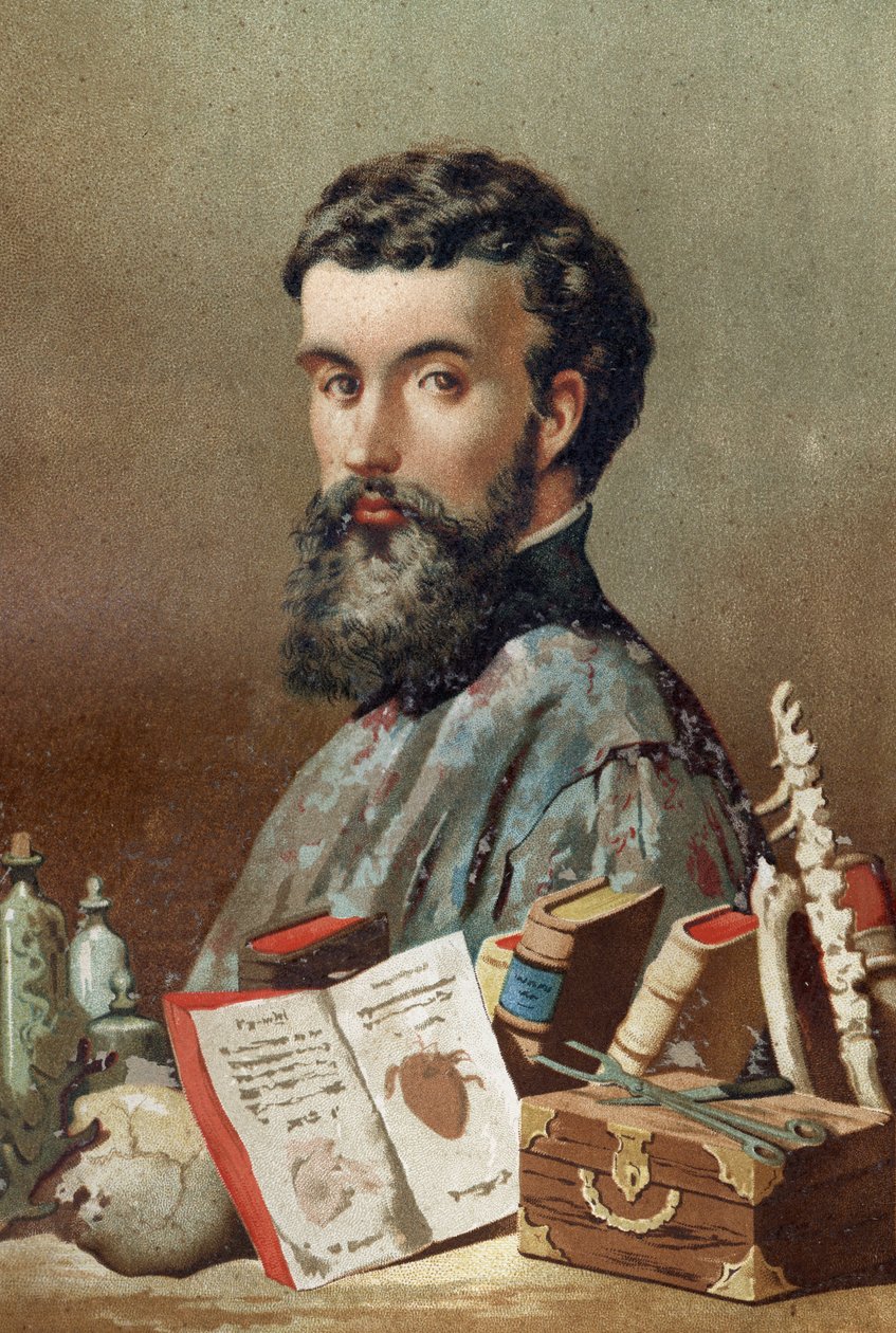 Portret André Vésale (1514-1564), holenderskiego anatoma (po łacinie: Andrea Vesalius, po holendersku: Andries Van Wesel) z „Science and its Men” Louisa Figuiera. Barcelona 1881. autorstwa Unknown artist