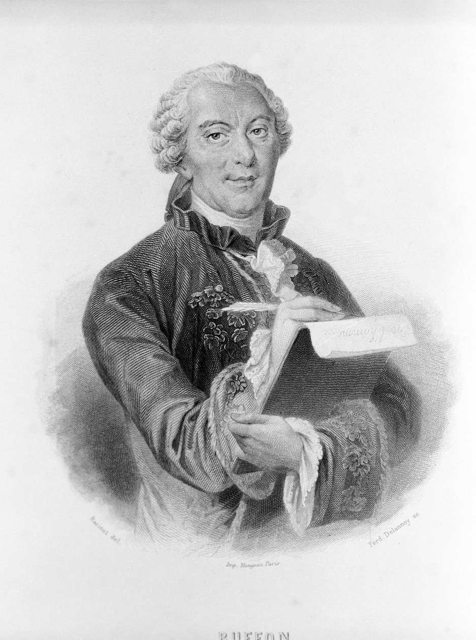 Portret Buffona (1707 - 1788), francuskiego przyrodnika i pisarza. autorstwa Unknown artist