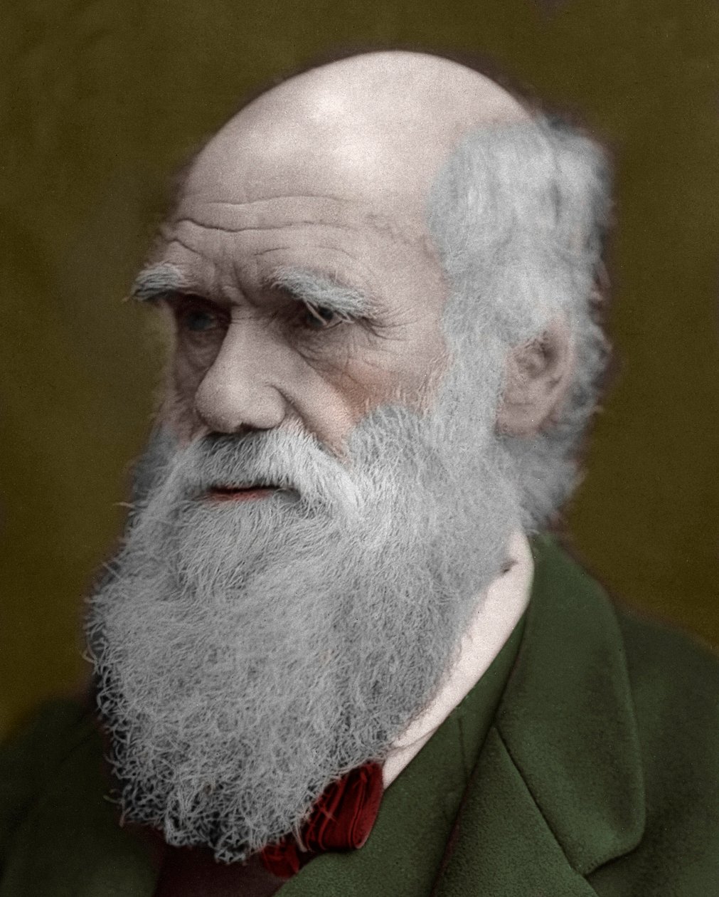 Portret Karola Darwina autorstwa Unknown artist