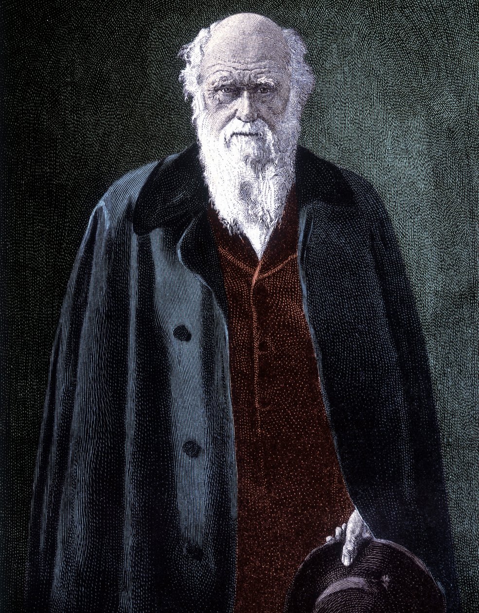 Portret Karola Darwina, brytyjskiego przyrodnika (1809 - 1882) autorstwa Unknown artist