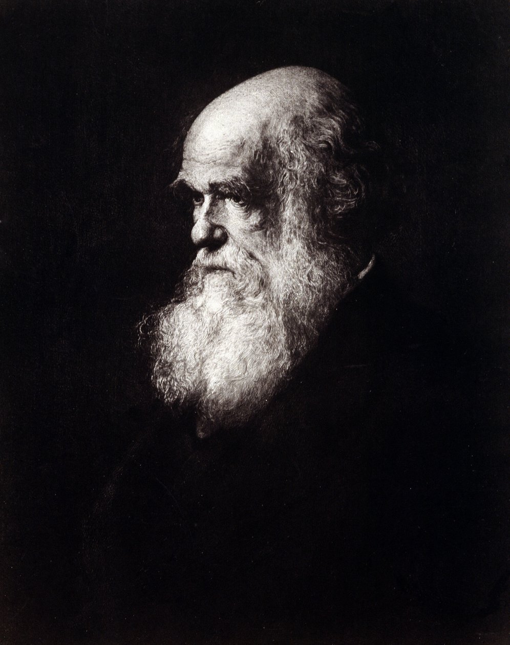 Portret Karola Roberta Darwina (1809 - 1882) autorstwa Unknown artist