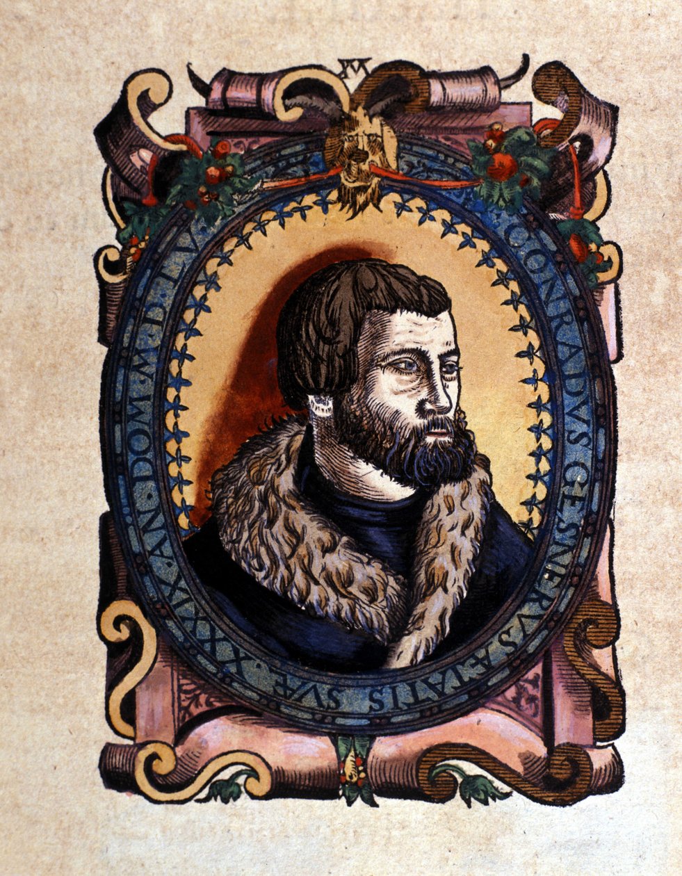 Portret Conrada Gesnera (1516 - 1565) zuryskiego lekarza według Historii Animalium Conrada Gesnera, Tiguri 1560. Biblioteca Nazionale Braidense. Mediolan autorstwa Unknown artist