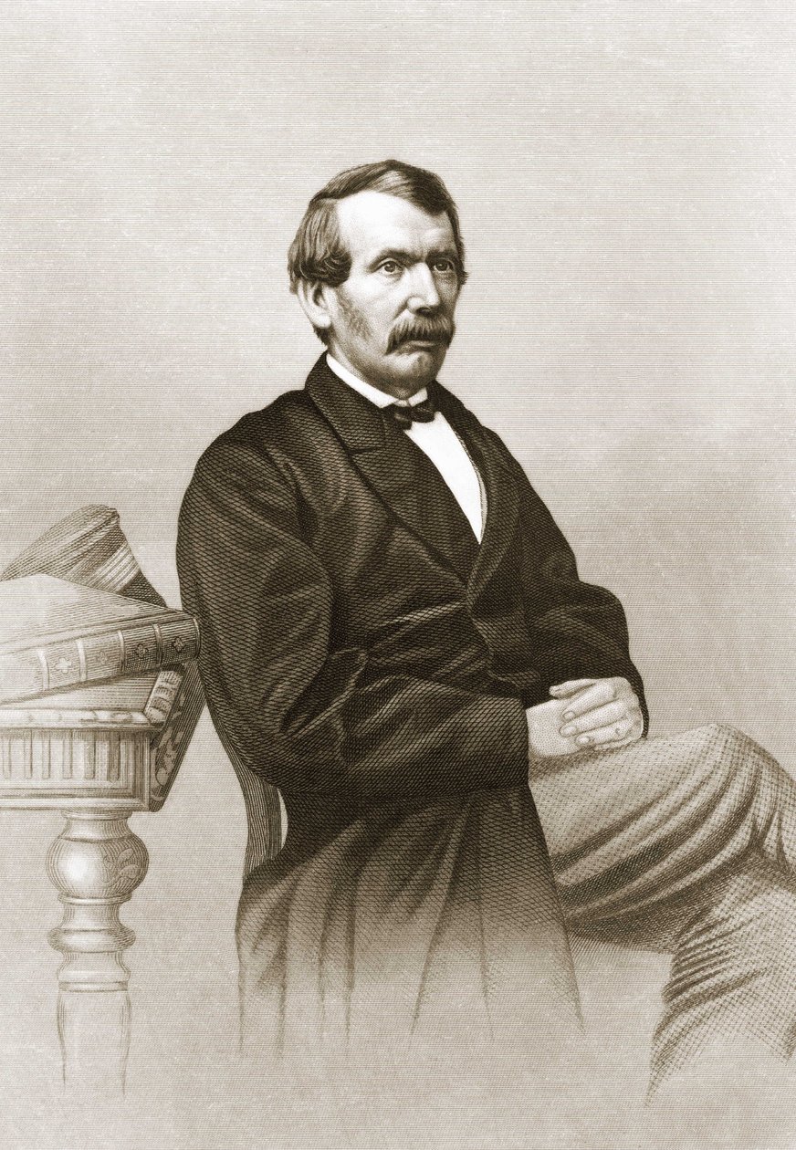 Portret Davida Livingstone