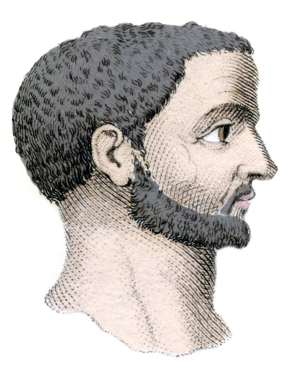 Portret Dioklecjana (Gaius Aurelius Valerius Diocletianus, 245-316), cesarza rzymskiego od 284 do 305. Rycina z XIX wieku. autorstwa Unknown artist