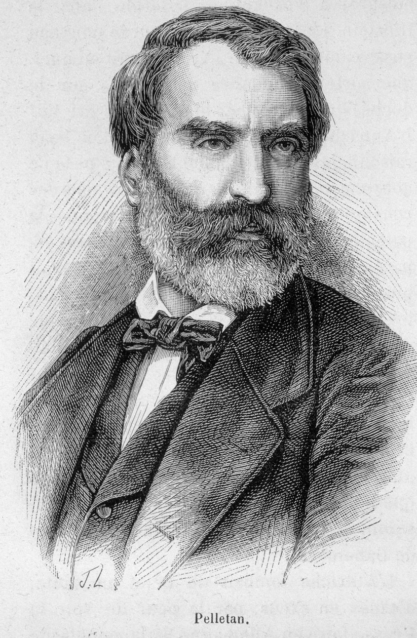 Portret Eugene Pelletana (1813-1884), francuskiego dziennikarza, pisarza i polityka. autorstwa Unknown artist