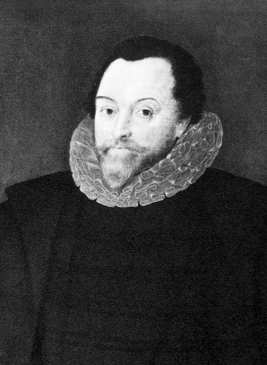 Portret Francisa Drake