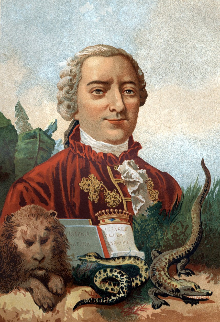Portret Georgesa Louisa Leclerca, hrabiego Buffon (1707 - 1788), francuskiego przyrodnika i pisarza. Chromolitografia XIX wiek. według „Nauka i jej ludzie” Louisa Figuiera. Barcelona 1881 autorstwa Unknown artist