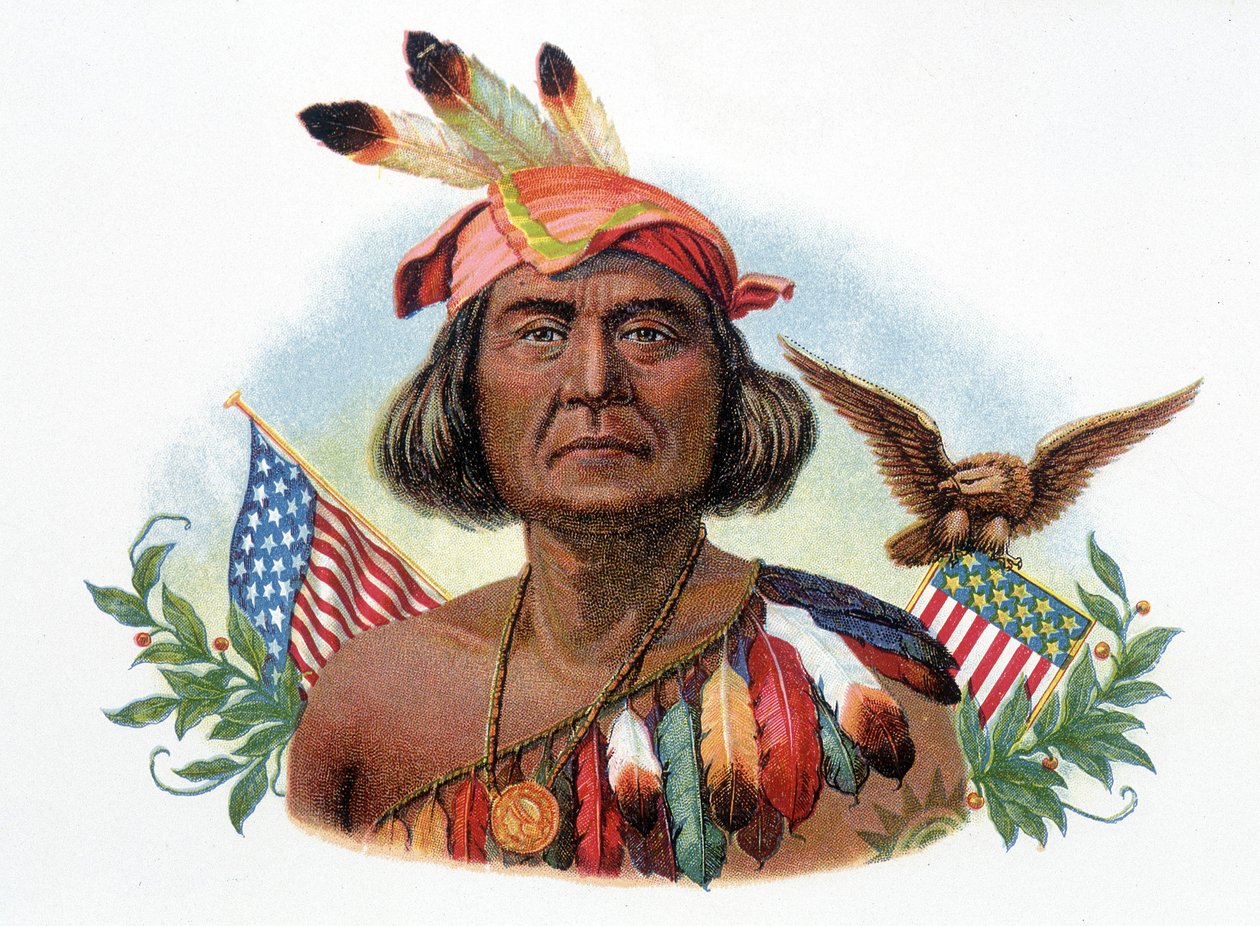 Portret Geronimo, szefa kuchni Apache przed amerykańskimi flagami. Chromolitografia XIX wieku. autorstwa Unknown artist
