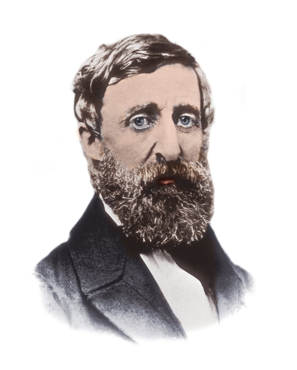 Portret Henry David Thoreau (1817-1862) - amerykański eseista, poeta, filozof, abolicjonista, przyrodnik, przeciwnik podatkowy, krytyk rozwoju, geodeta i historyk autorstwa Unknown artist
