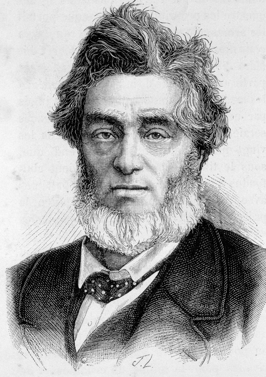 Portret Julesa Favre