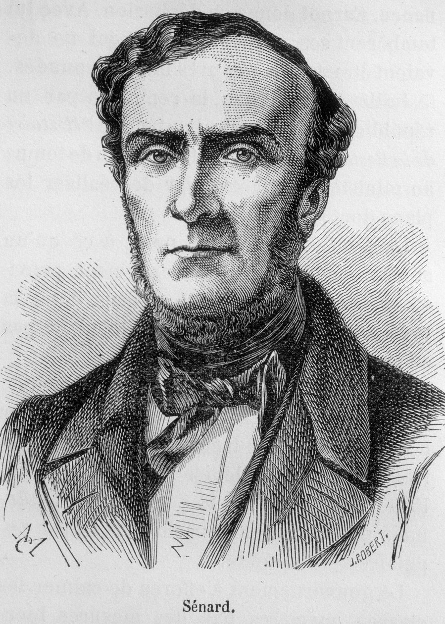 Portret Marie Antoine Jules Senard, członkini palestry paryskiej, byłej przewodniczącej Zgromadzenia Narodowego i byłego ministra spraw wewnętrznych. Bronił Gustave