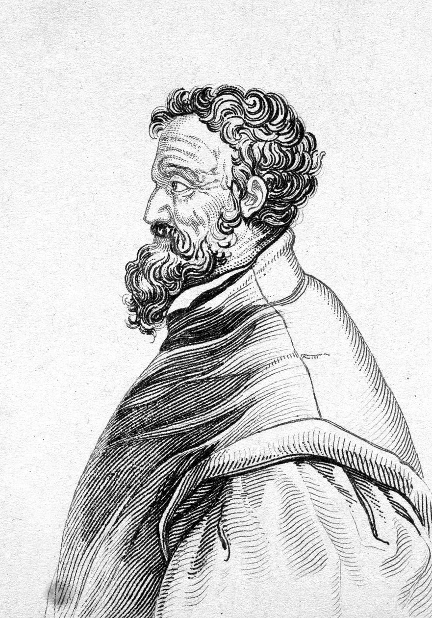 Portret Michelangelo Buonarroti dit Michel Ange (Michelangelo lub Michelangelo autorstwa Unknown artist