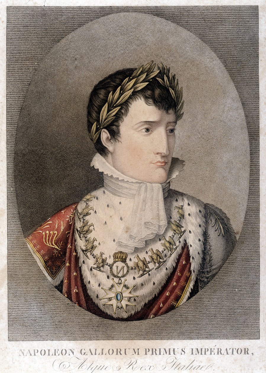 Portret cesarza Napoleona. autorstwa Unknown artist