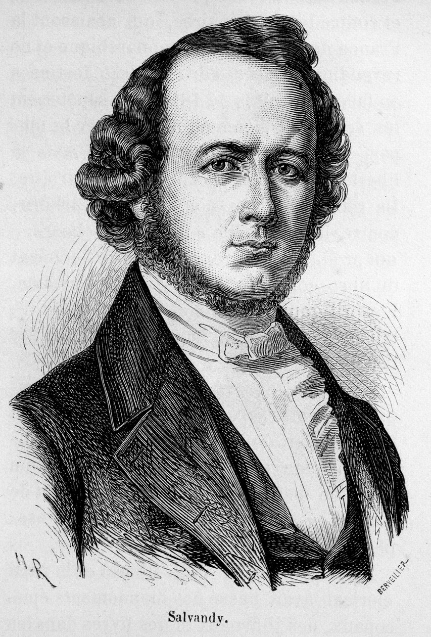 Portret Narcyza Achillesa, hrabiego Salvandy, francuskiego polityka (1795 - 1856) autorstwa Unknown artist