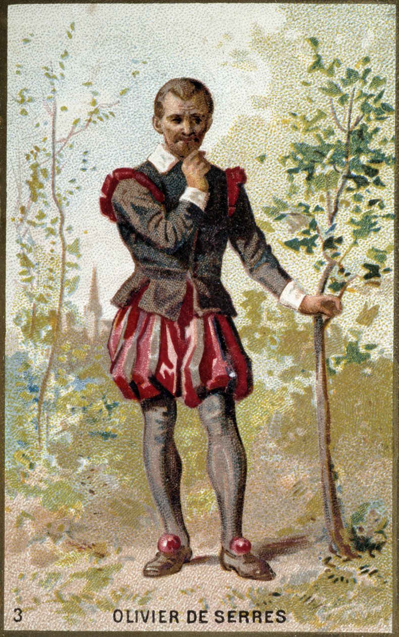 Portret Oliviera de Serres (1539-1619), francuskiego agronoma. XIX-wieczna chromolitografia. autorstwa Unknown artist