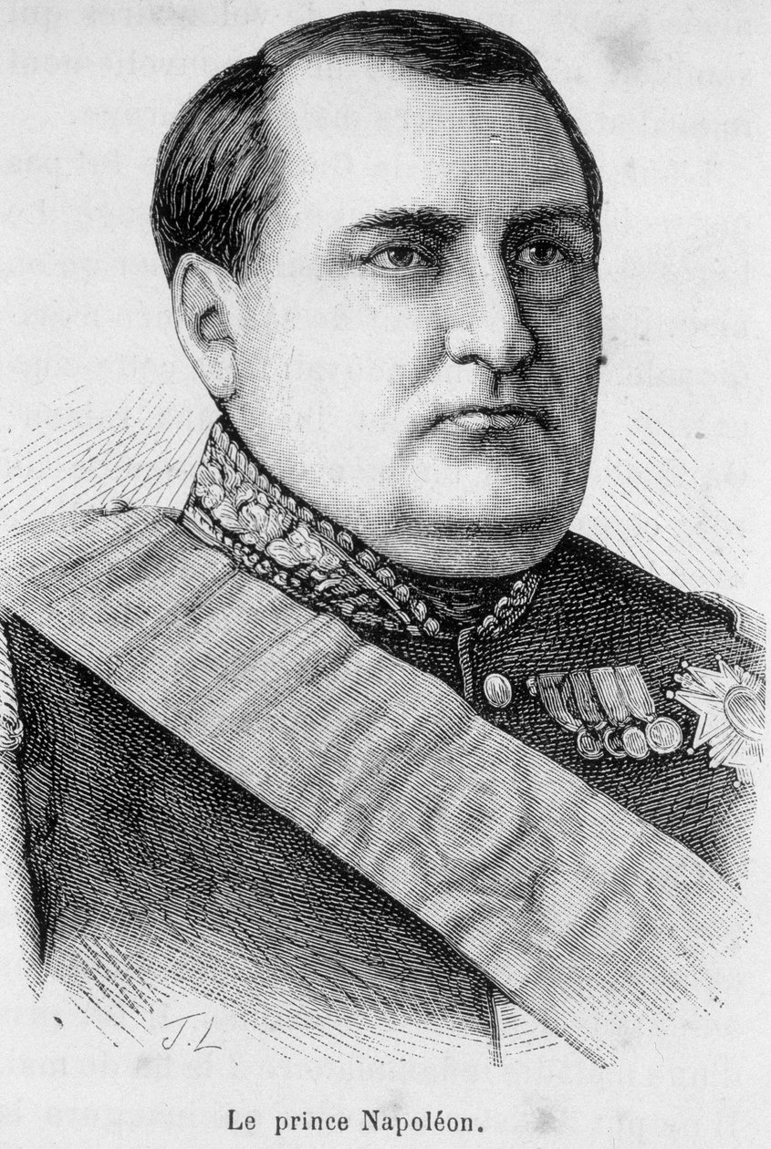 Portret księcia Napoleona autorstwa Unknown artist