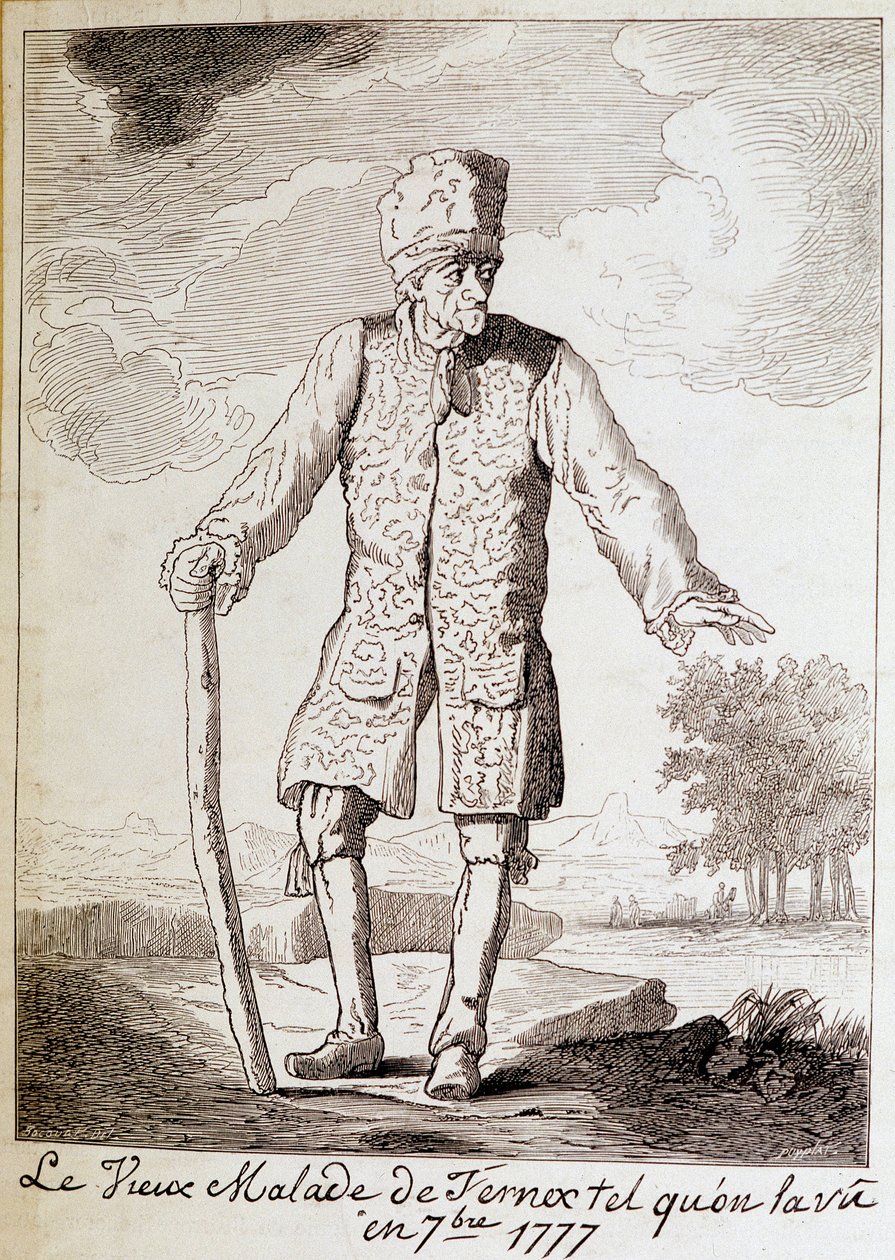 Portret Woltera (1694-1778), francuskiego pisarza i filozofa, w podeszłym wieku. autorstwa Unknown artist