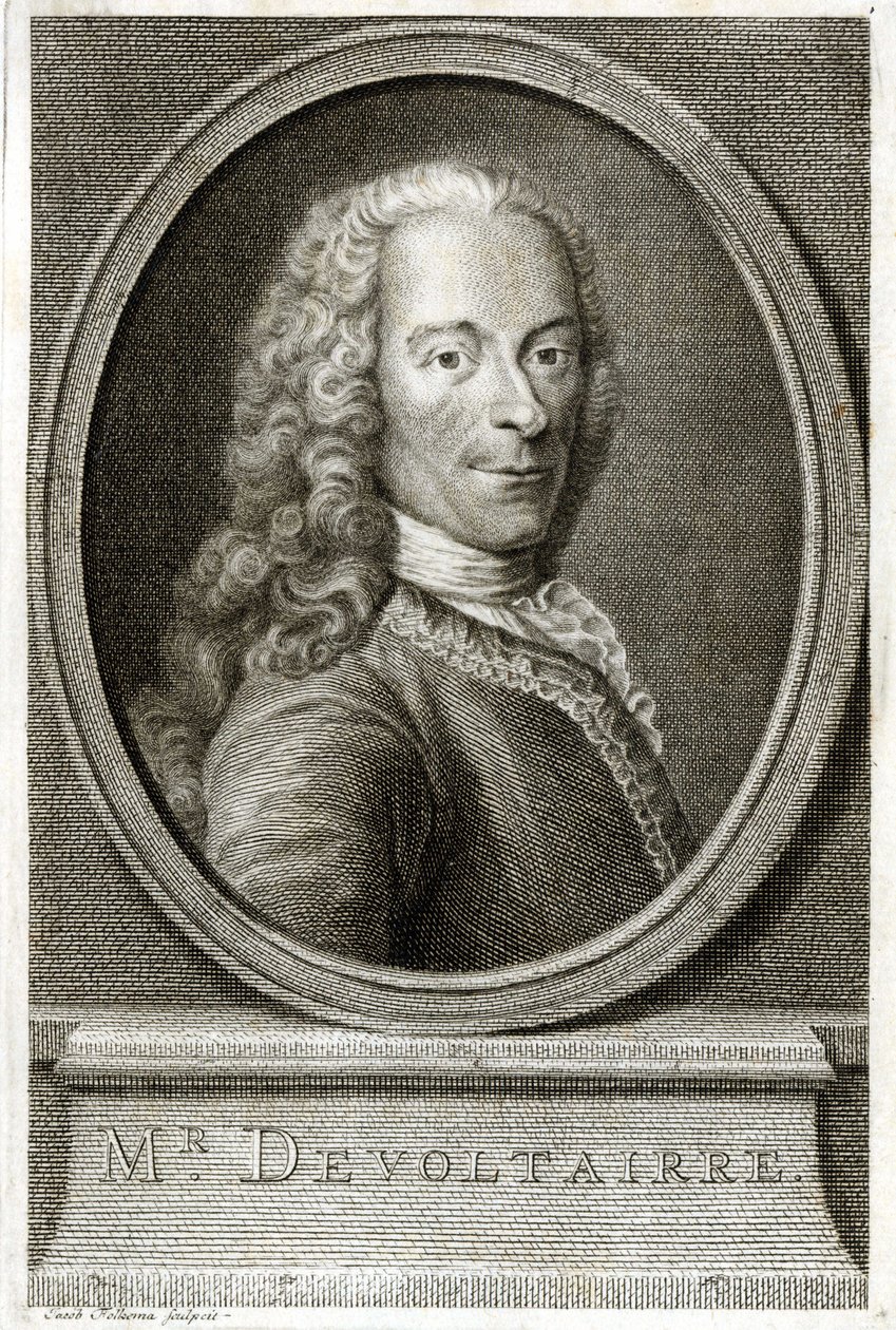 Portret Woltera. Grawerowanie z XIX wieku. autorstwa Unknown artist