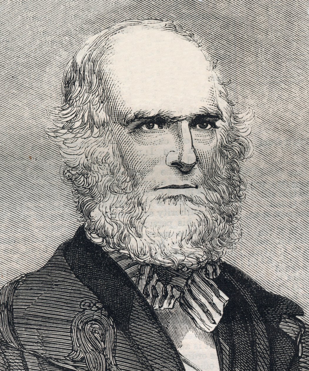 Portret Williama Cullena Bryanta (1794-1878), amerykańskiego poety. Grawerowanie w „Ilustrowanych wiadomościach londyńskich” z 23 stycznia 1858 r. autorstwa Unknown artist