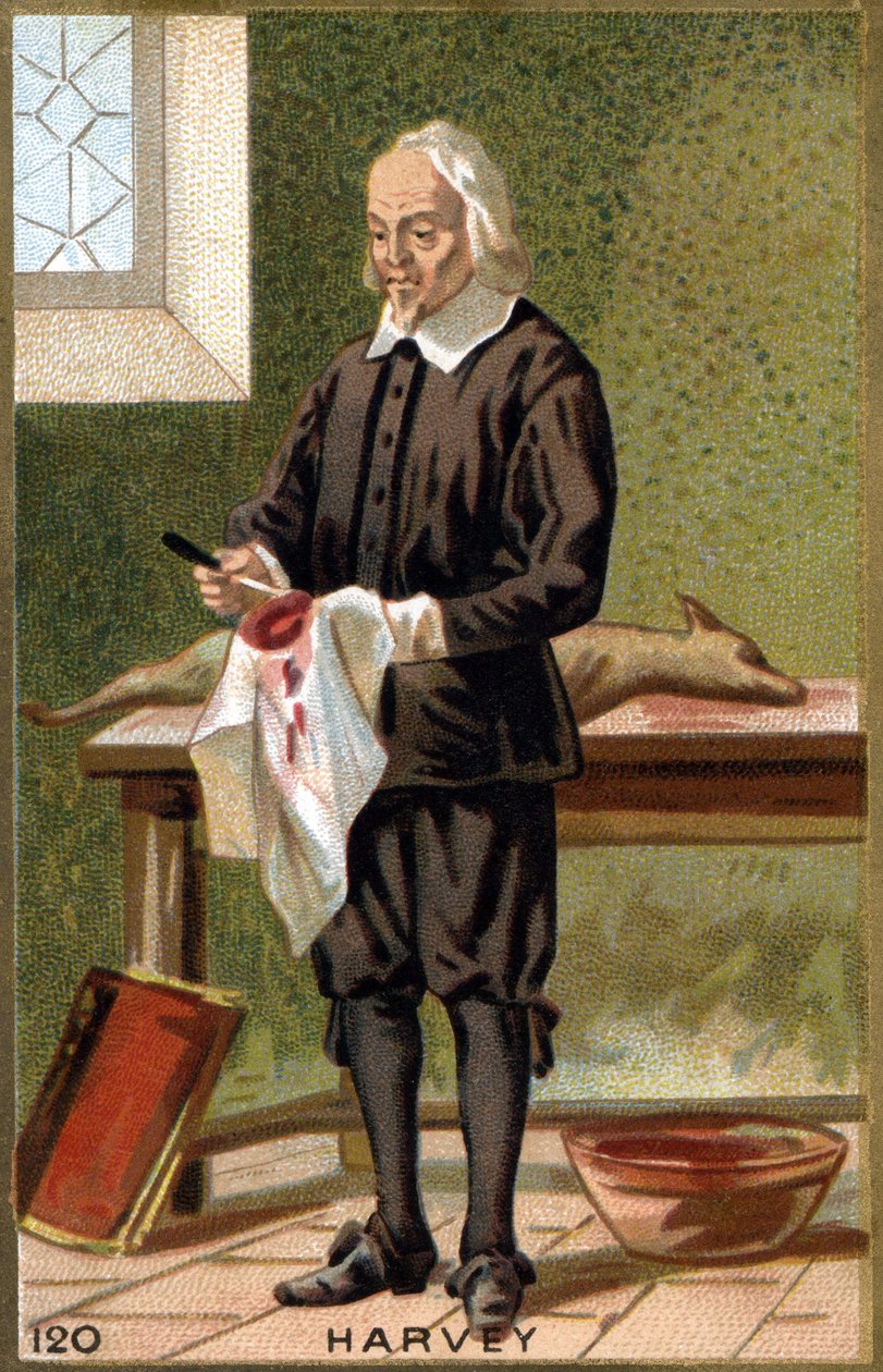 Portret Williama Harveya (1578-1657), angielskiego lekarza. XIX-wieczna chromolitografia. autorstwa Unknown artist