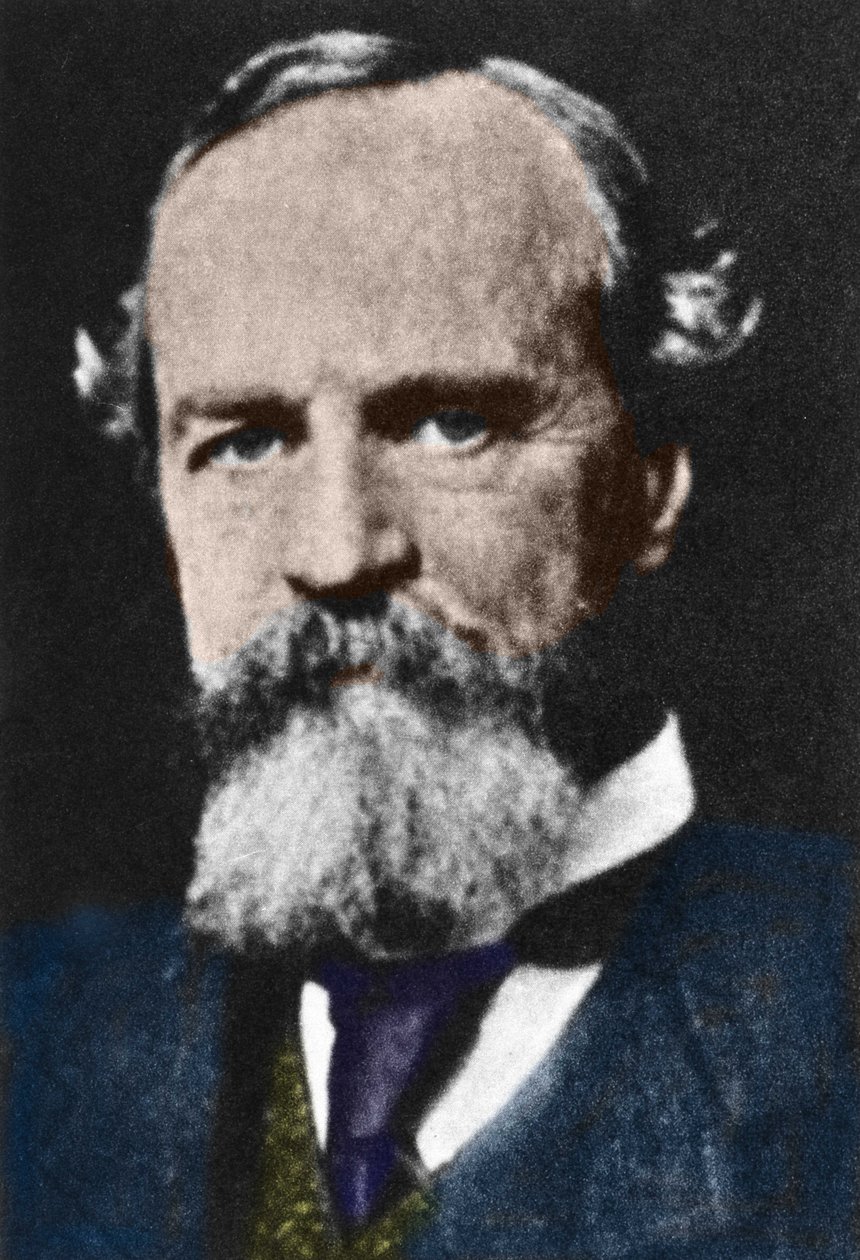 Portret Williama Jamesa (1842-1910), amerykańskiego filozofa pragmatyka. autorstwa Unknown artist