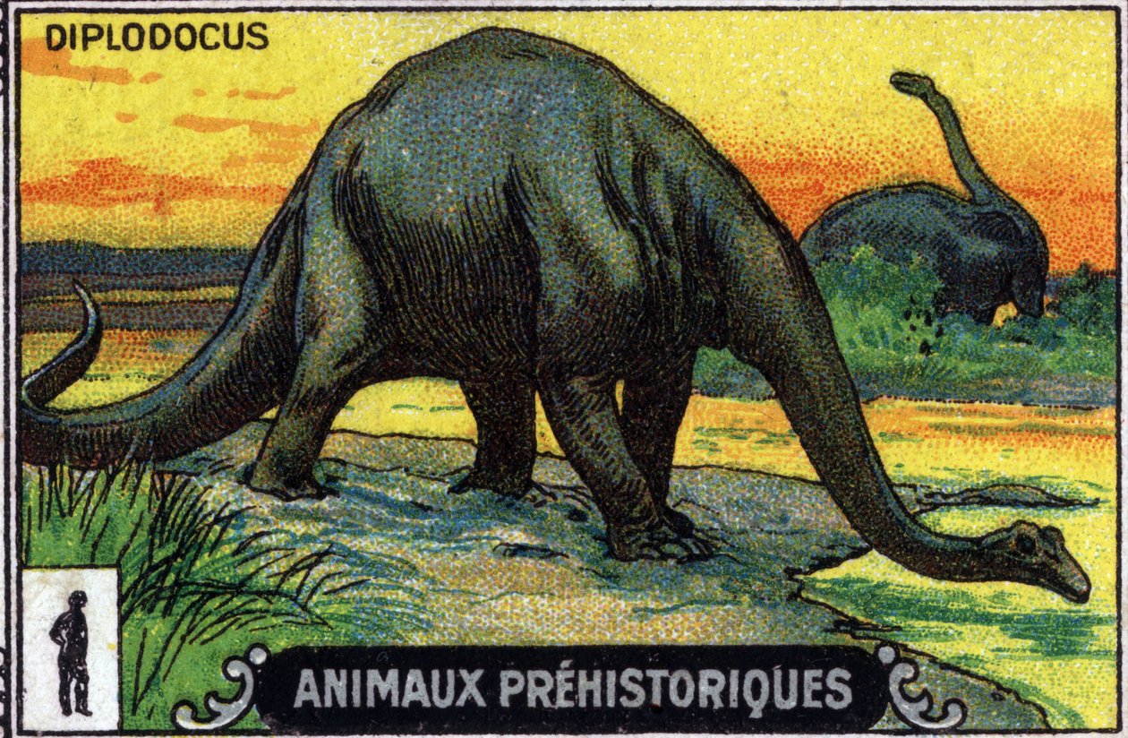 Prehistoryczne zwierzę: dinozaur diplodok (chromo) autorstwa Unknown Artist