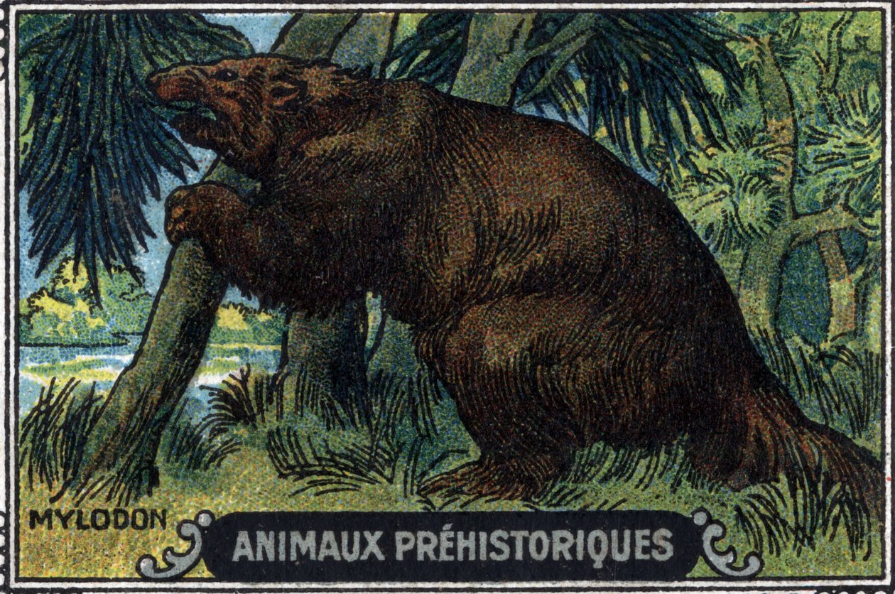 Prehistoryczne zwierzę: mylodon. autorstwa Unknown Artist