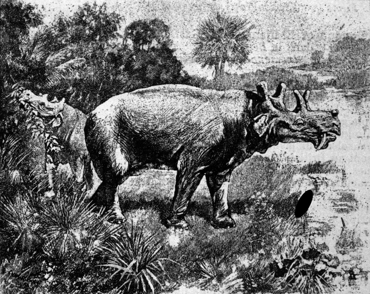 Prehistoria: przedstawienie czterorożnego dinozaura Uintatherium. autorstwa Unknown artist