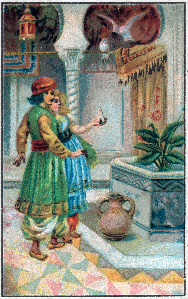 Książę Ahmed z opłatą. Historia księcia Ahmeda i opłaty Paris-Banou (Pari Banou) (Paribanu). Opowieść o 1001 nocy (bajki tysiąca i jednej nocy). Chromolitografia z końca XIX wieku. autorstwa Unknown artist