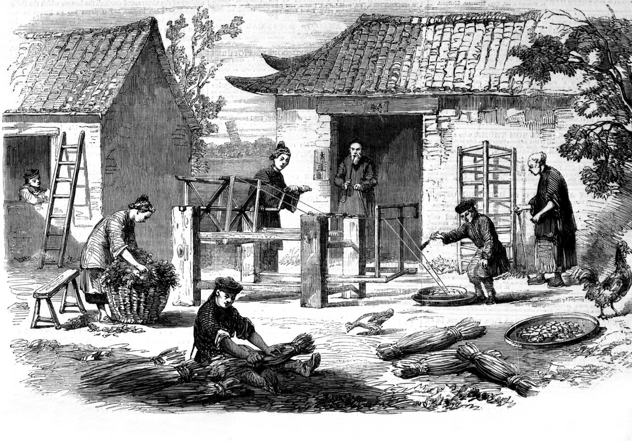 Produkcja jedwabiu w Chinach i różne etapy wytwarzania. autorstwa Unknown artist