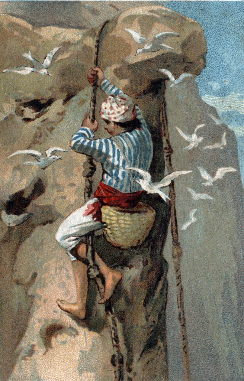 Przeniesienie gniazd jaskółek salanganu w Malezji. Chromolitografia z końca XIX wieku. autorstwa Unknown artist